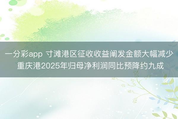 一分彩app 寸滩港区征收收益阐发金额大幅减少 重庆港2025年归母净利润同比预降约九成