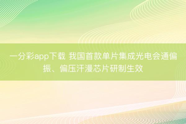 一分彩app下载 我国首款单片集成光电会通偏振、偏压汗漫芯片研制生效