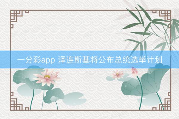 一分彩app 泽连斯基将公布总统选举计划