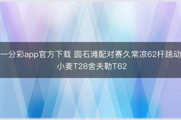 一分彩app官方下载 圆石滩配对赛久常凉62杆跳动 小麦T28舍夫勒T62