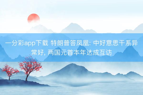 一分彩app下载 特朗普答凤凰: 中好意思干系异常好， 两国元首本年达成互访