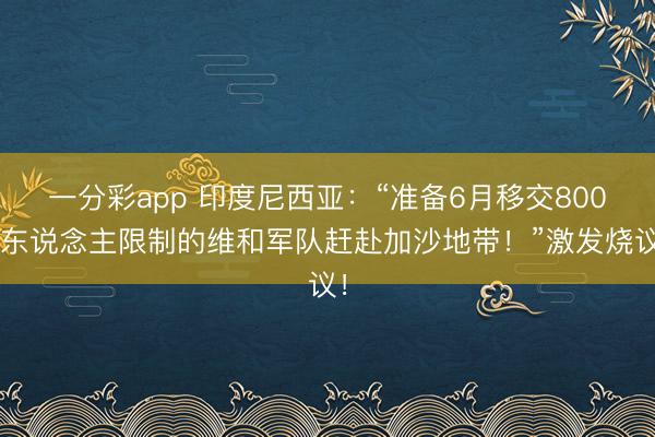 一分彩app 印度尼西亚：“准备6月移交8000东说念主限制的维和军队赶赴加沙地带！”激发烧议！