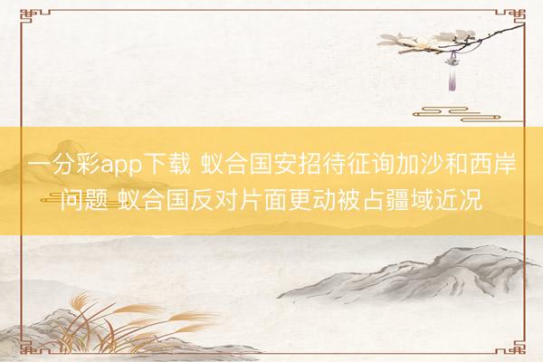 一分彩app下载 蚁合国安招待征询加沙和西岸问题 蚁合国反对片面更动被占疆域近况