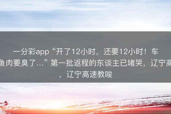 一分彩app “开了12小时，还要12小时！车上鸡鸭鱼肉要臭了…” 第一批返程的东谈主已堵哭，辽宁高速教唆