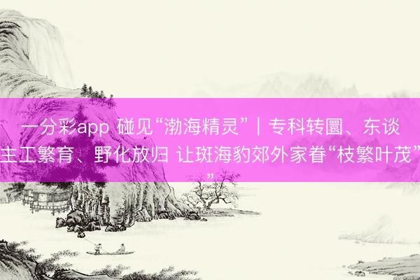 一分彩app 碰见“渤海精灵”|专科转圜、东谈主工繁育、野化放归 让斑海豹郊外家眷“枝繁叶茂”