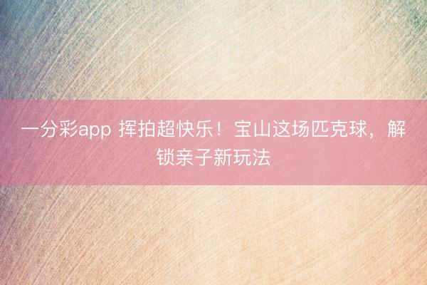一分彩app 挥拍超快乐！宝山这场匹克球，解锁亲子新玩法