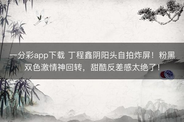 一分彩app下载 丁程鑫阴阳头自拍炸屏！粉黑双色激情神回转，甜酷反差感太绝了！