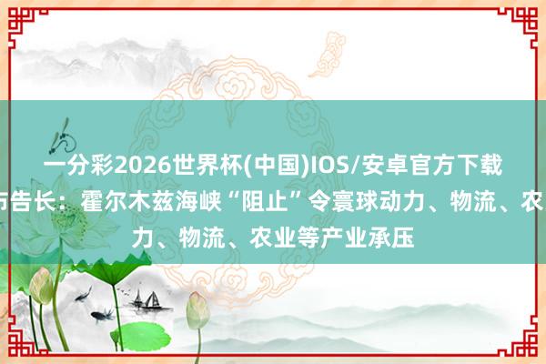 一分彩2026世界杯(中国)IOS/安卓官方下载 贯串国前副布告长：霍尔木兹海峡“阻止”令寰球动力、物流、农业等产业承压
