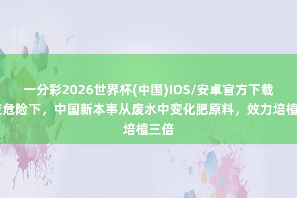 一分彩2026世界杯(中国)IOS/安卓官方下载 供应危险下，中国新本事从废水中变化肥原料，效力培植三倍
