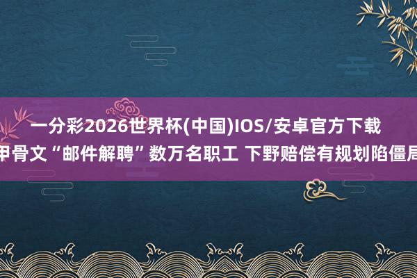一分彩2026世界杯(中国)IOS/安卓官方下载 甲骨文“邮件解聘”数万名职工 下野赔偿有规划陷僵局