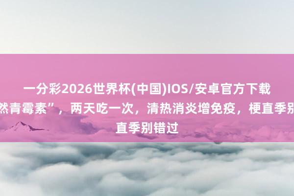 一分彩2026世界杯(中国)IOS/安卓官方下载 “自然青霉素”，两天吃一次，清热消炎增免疫，梗直季别错过