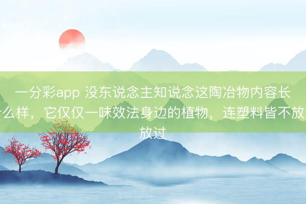 一分彩app 没东说念主知说念这陶冶物内容长什么样，它仅仅一味效法身边的植物，连塑料皆不放过