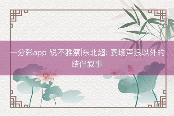 一分彩app 锐不雅察|东北超: 赛场声浪以外的结伴叙事