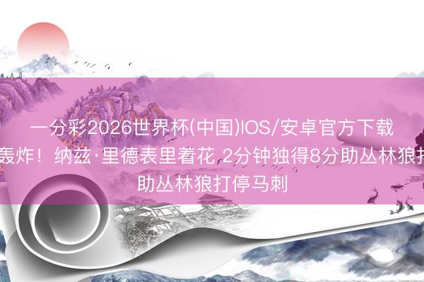 一分彩2026世界杯(中国)IOS/安卓官方下载 高炮台轰炸！纳兹·里德表里着花 2分钟独得8分助丛林狼打停马刺