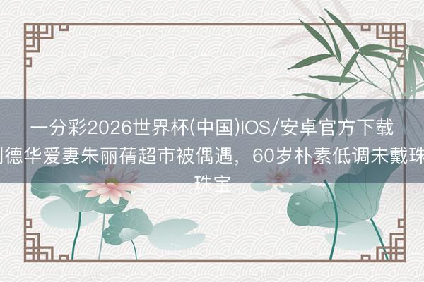 一分彩2026世界杯(中国)IOS/安卓官方下载 刘德华爱妻朱丽蒨超市被偶遇，60岁朴素低调未戴珠宝