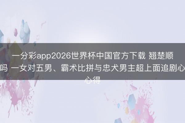 一分彩app2026世界杯中国官方下载 翘楚顺眼吗 一女对五男、霸术比拼与忠犬男主超上面追剧心得