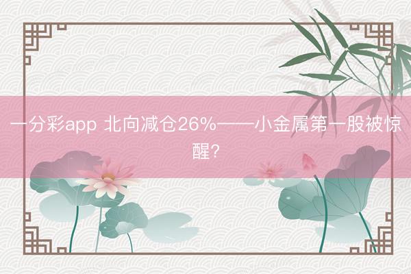 一分彩app 北向减仓26%——小金属第一股被惊醒?